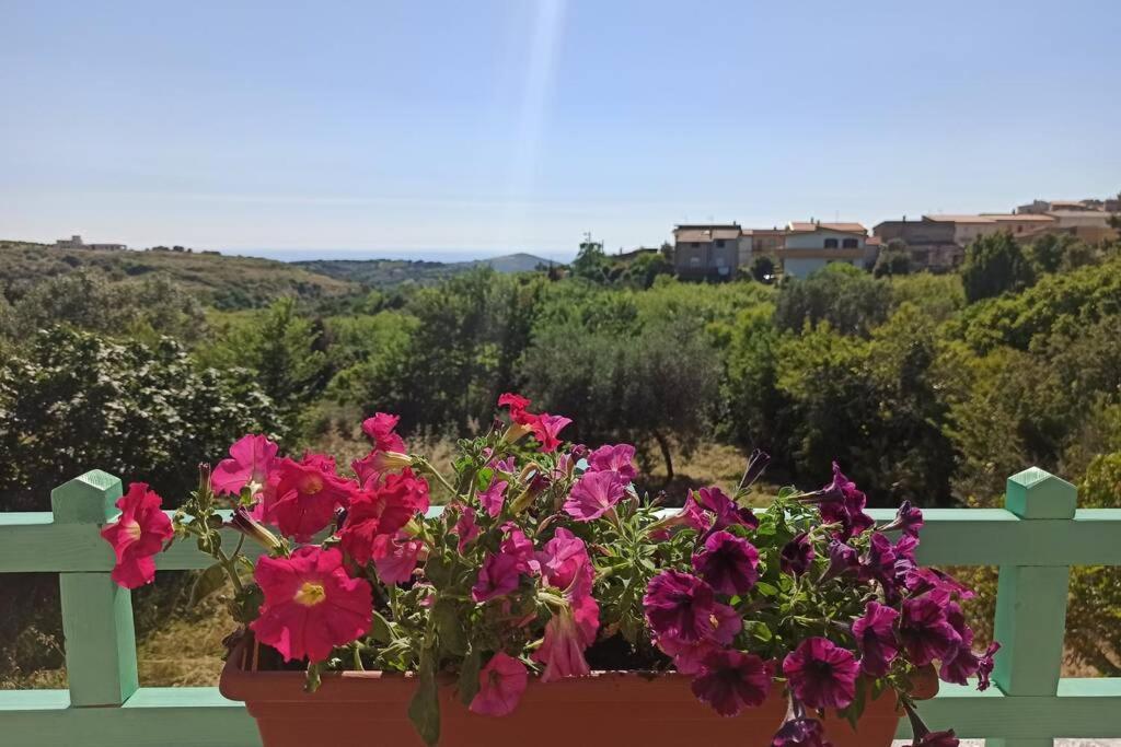 La Terrazza Sul Melograno - *